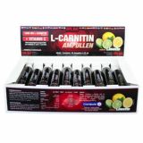 MR.BiG L-Carnitin Ampullen 20 x 25ml Ampullen Display